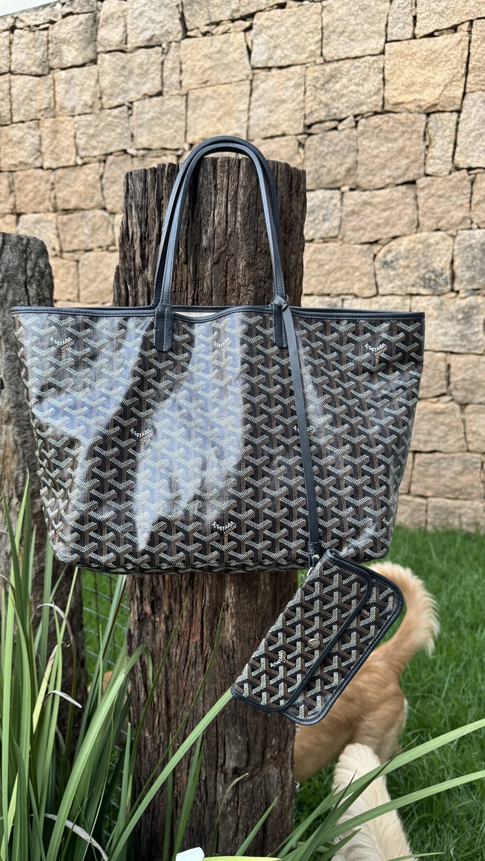 Goyard preta PM - Image 5
