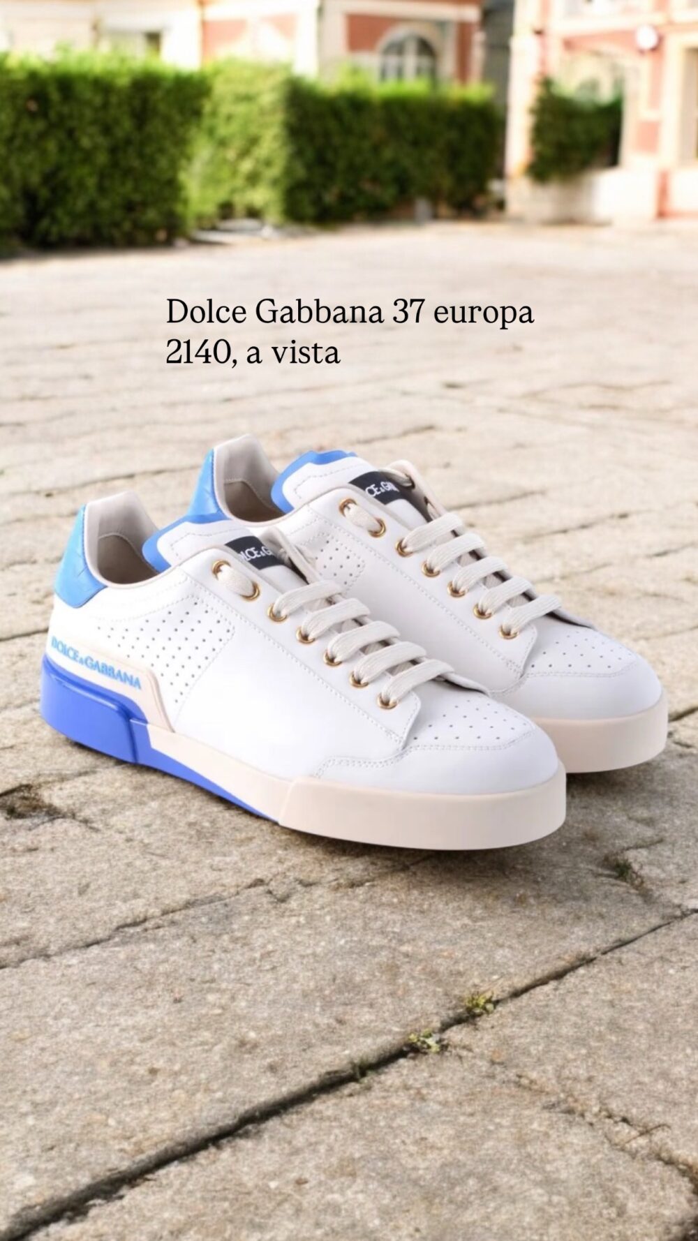 Tenis D&G