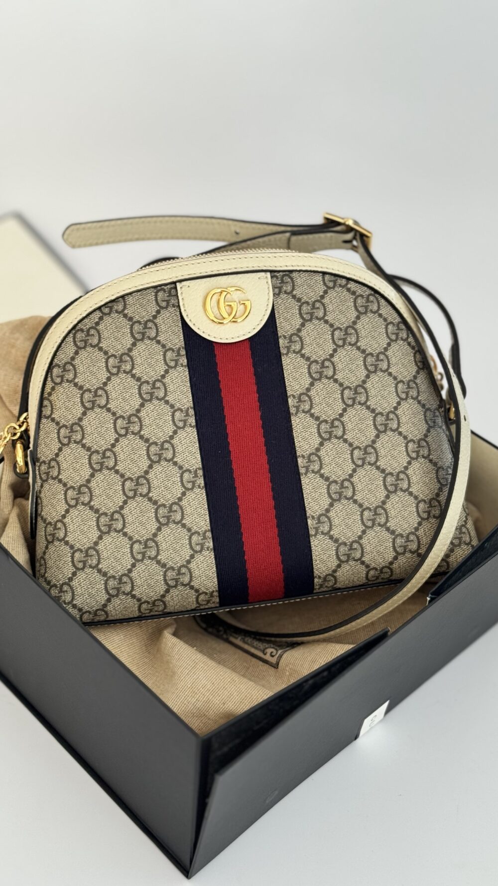 Ophidia Crossbody - Image 3
