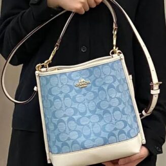Coach Mollie Bucket Bag 22