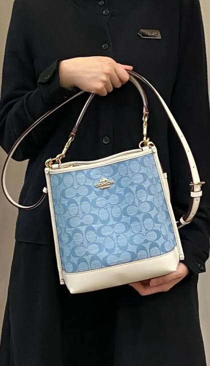 Coach Mollie Bucket Bag 22